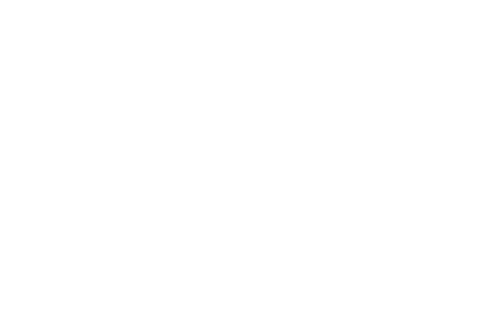 UNIVIRTUAL